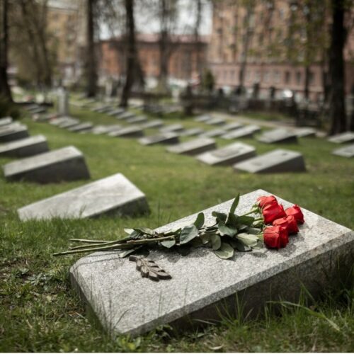 Flowers on the grave
